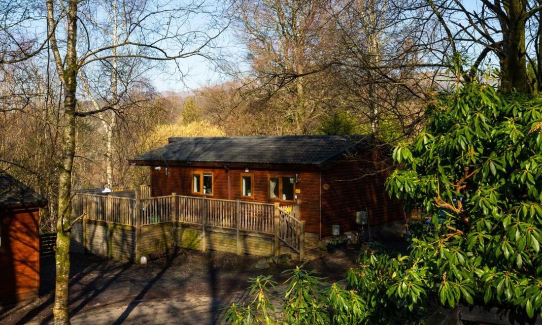 Owls House, White Cross Bay, Ambleside, Windermere Buitenkant foto