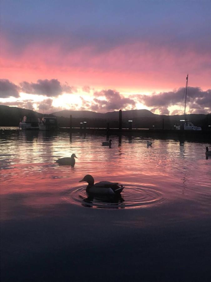 Owls House, White Cross Bay, Ambleside, Windermere Buitenkant foto